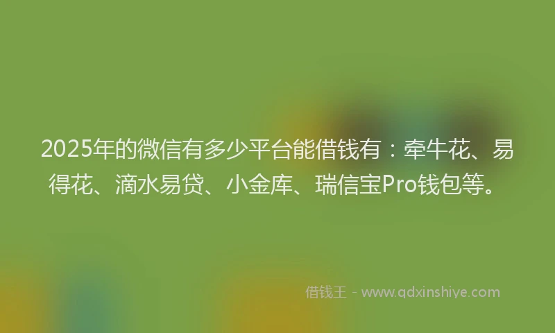 2025年的微信有多少平台能借钱有：牵牛花、易得花、滴水易贷、小金库、瑞信宝Pro钱包等。