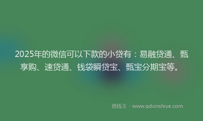 2025年的微信可以下款的小贷有：易融贷通、甄享购、速贷通、钱袋瞬贷宝、甄宝分期宝等。