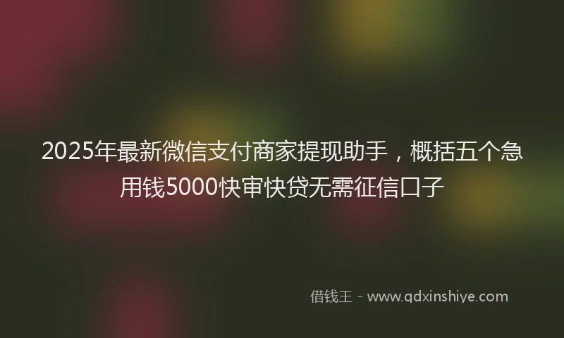 2025年最新微信支付商家提现助手，概括五个急用钱5000快审快贷无需征信口子