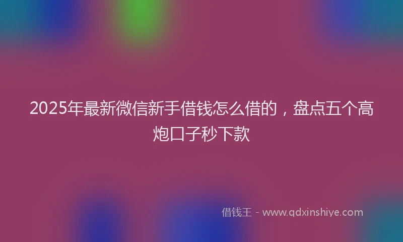 2025年最新微信新手借钱怎么借的，盘点五个高炮口子秒下款