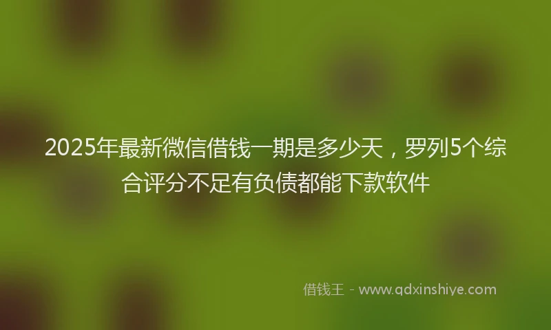 2025年最新微信借钱一期是多少天，罗列5个综合评分不足有负债都能下款软件
