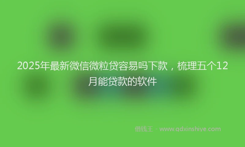 2025年最新微信微粒贷容易吗下款，梳理五个12月能贷款的软件