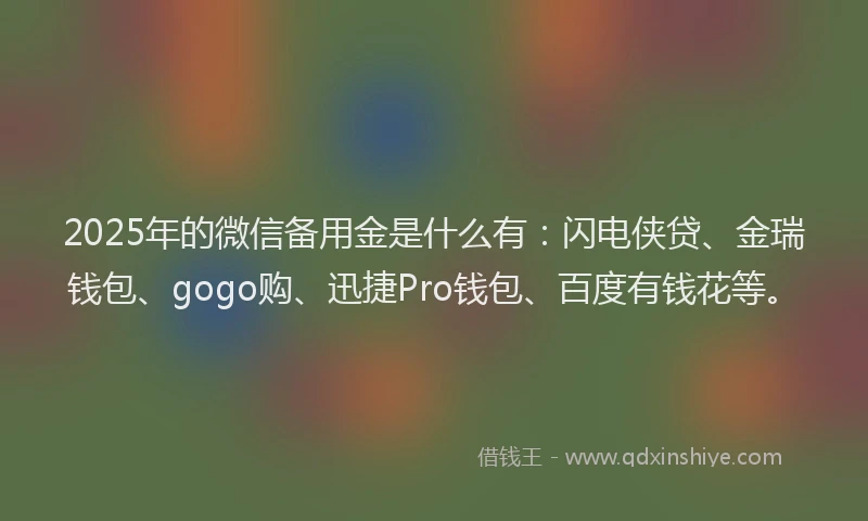 2025年的微信备用金是什么有：闪电侠贷、金瑞钱包、gogo购、迅捷Pro钱包、百度有钱花等。