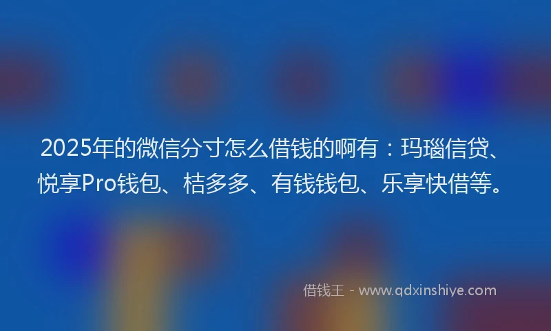 2025年的微信分寸怎么借钱的啊有：玛瑙信贷、悦享Pro钱包、桔多多、有钱钱包、乐享快借等。