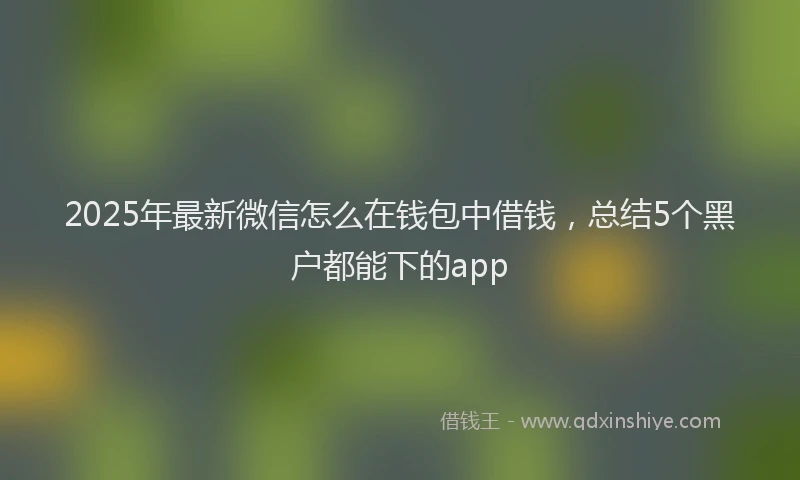 2025年最新微信怎么在钱包中借钱，总结5个黑户都能下的app