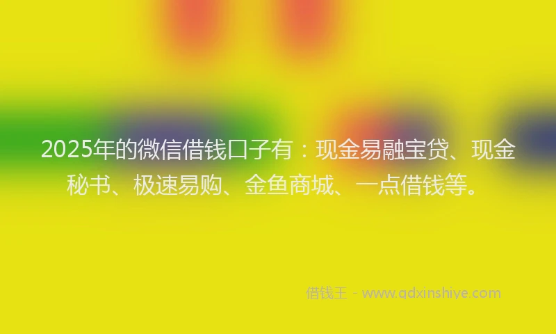 2025年的微信借钱口子有：现金易融宝贷、现金秘书、极速易购、金鱼商城、一点借钱等。