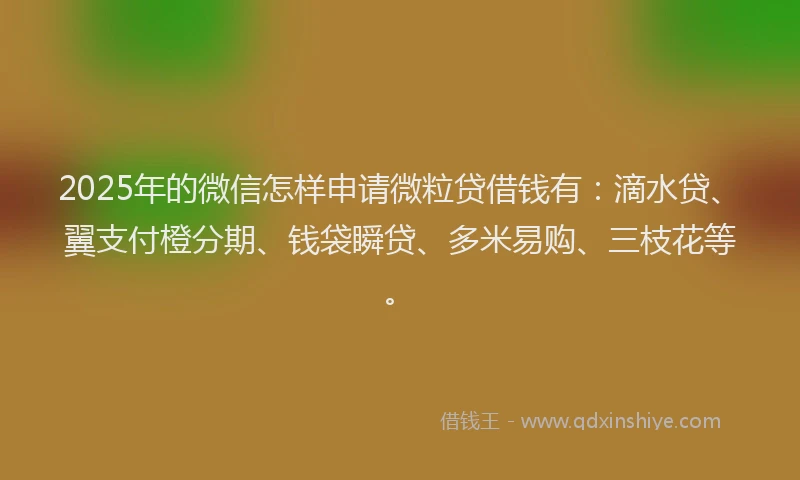 2025年的微信怎样申请微粒贷借钱有：滴水贷、翼支付橙分期、钱袋瞬贷、多米易购、三枝花等。