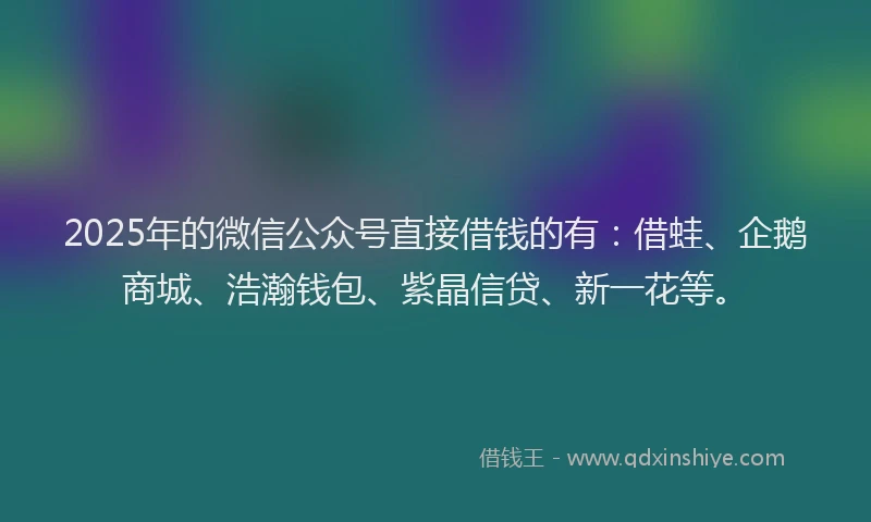 2025年的微信公众号直接借钱的有：借蛙、企鹅商城、浩瀚钱包、紫晶信贷、新一花等。