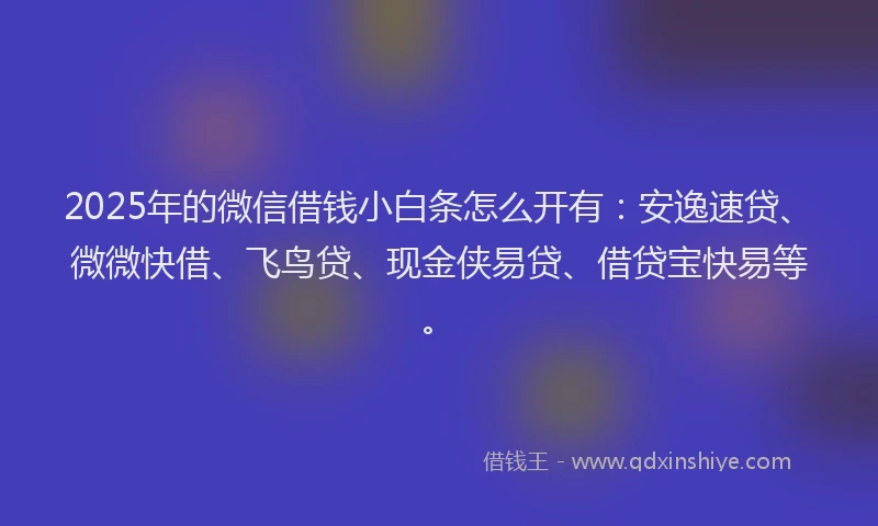 2025年的微信借钱小白条怎么开有：安逸速贷、微微快借、飞鸟贷、现金侠易贷、借贷宝快易等。
