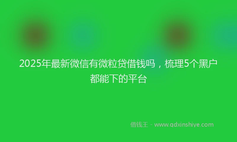 2025年最新微信有微粒贷借钱吗，梳理5个黑户都能下的平台