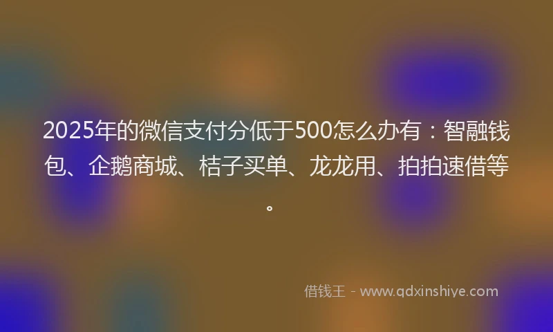 2025年的微信支付分低于500怎么办有：智融钱包、企鹅商城、桔子买单、龙龙用、拍拍速借等。