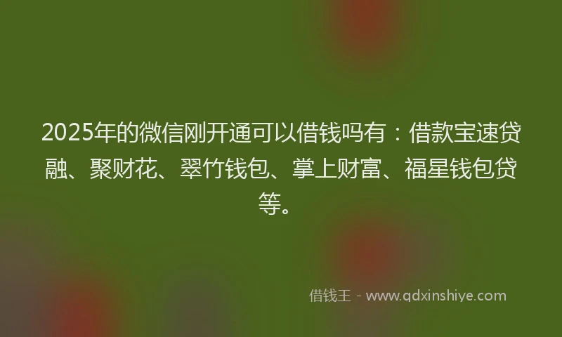 2025年的微信刚开通可以借钱吗有：借款宝速贷融、聚财花、翠竹钱包、掌上财富、福星钱包贷等。
