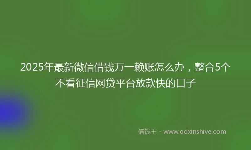 2025年最新微信借钱万一赖账怎么办，整合5个不看征信网贷平台放款快的口子