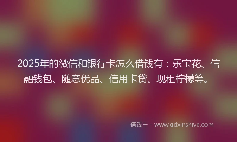 2025年的微信和银行卡怎么借钱有：乐宝花、信融钱包、随意优品、信用卡贷、现租柠檬等。