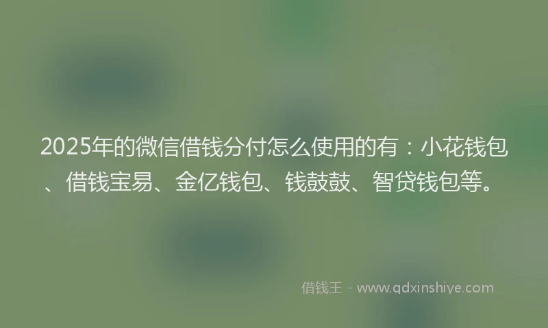 2025年的微信借钱分付怎么使用的有：小花钱包、借钱宝易、金亿钱包、钱鼓鼓、智贷钱包等。