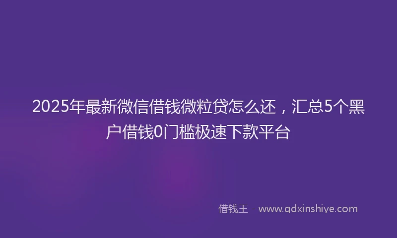 2025年最新微信借钱微粒贷怎么还，汇总5个黑户借钱0门槛极速下款平台