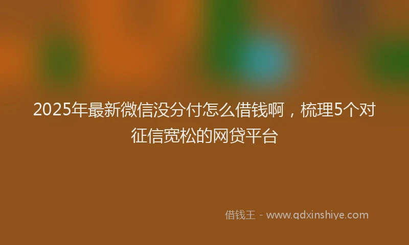 2025年最新微信没分付怎么借钱啊，梳理5个对征信宽松的网贷平台