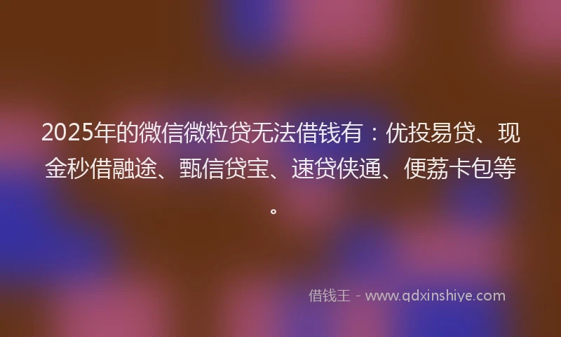 2025年的微信微粒贷无法借钱有：优投易贷、现金秒借融途、甄信贷宝、速贷侠通、便荔卡包等。