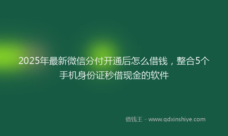 2025年最新微信分付开通后怎么借钱，整合5个手机身份证秒借现金的软件