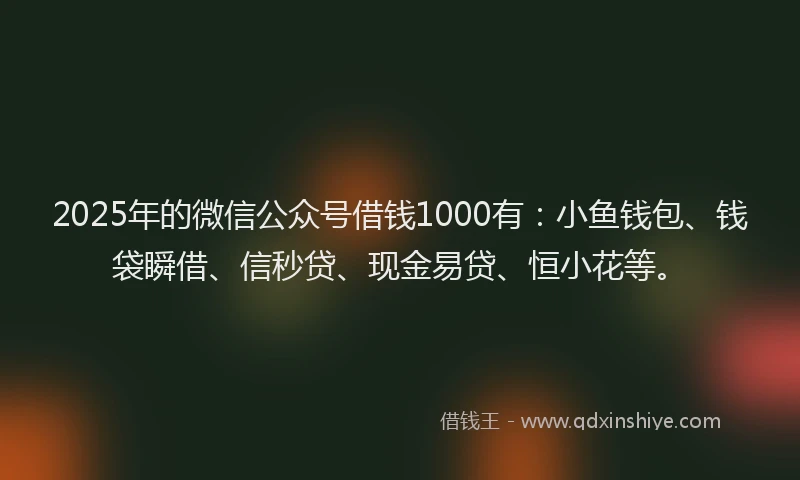2025年的微信公众号借钱1000有：小鱼钱包、钱袋瞬借、信秒贷、现金易贷、恒小花等。