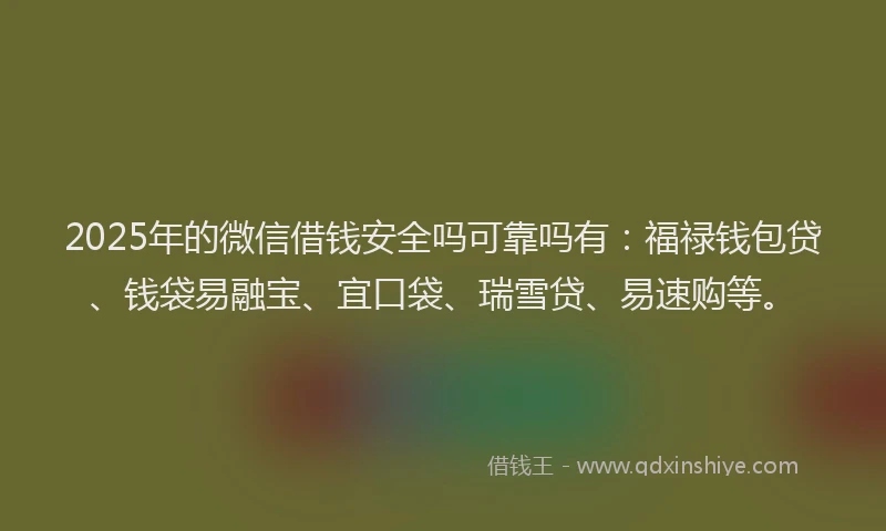 2025年的微信借钱安全吗可靠吗有：福禄钱包贷、钱袋易融宝、宜口袋、瑞雪贷、易速购等。