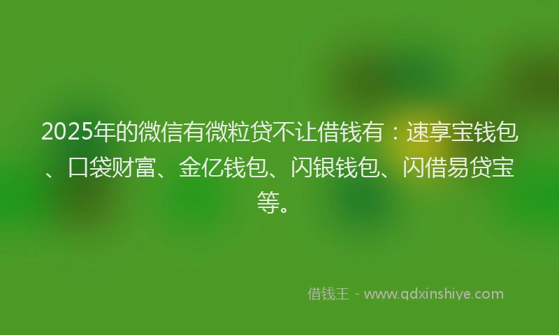 2025年的微信有微粒贷不让借钱有：速享宝钱包、口袋财富、金亿钱包、闪银钱包、闪借易贷宝等。