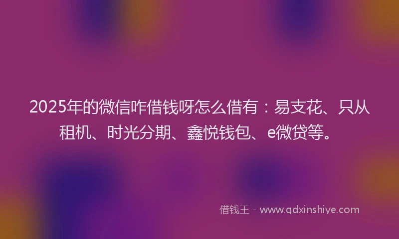 2025年的微信咋借钱呀怎么借有：易支花、只从租机、时光分期、鑫悦钱包、e微贷等。