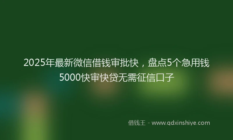 2025年最新微信借钱审批快，盘点5个急用钱5000快审快贷无需征信口子