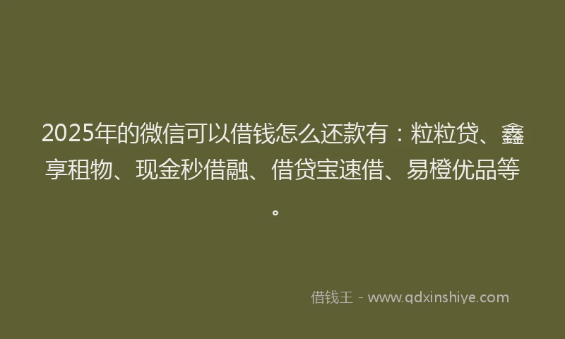 2025年的微信可以借钱怎么还款有：粒粒贷、鑫享租物、现金秒借融、借贷宝速借、易橙优品等。