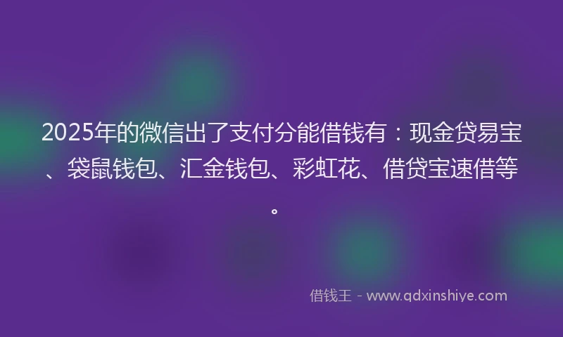 2025年的微信出了支付分能借钱有：现金贷易宝、袋鼠钱包、汇金钱包、彩虹花、借贷宝速借等。