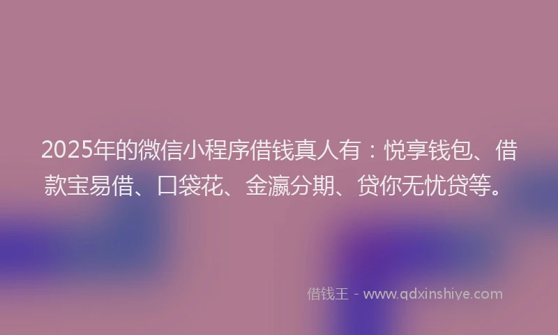 2025年的微信小程序借钱真人有：悦享钱包、借款宝易借、口袋花、金瀛分期、贷你无忧贷等。