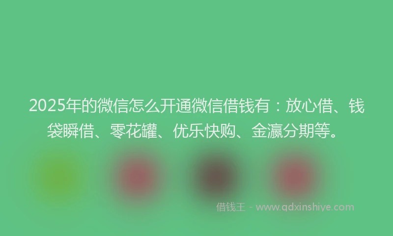 2025年的微信怎么开通微信借钱有：放心借、钱袋瞬借、零花罐、优乐快购、金瀛分期等。