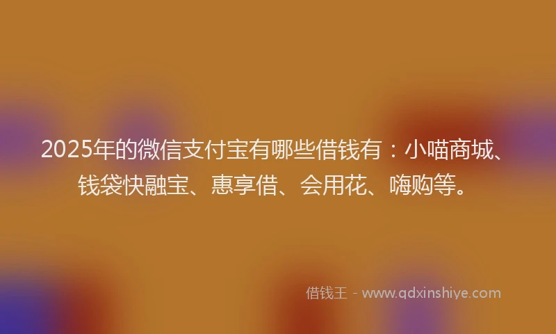2025年的微信支付宝有哪些借钱有：小喵商城、钱袋快融宝、惠享借、会用花、嗨购等。