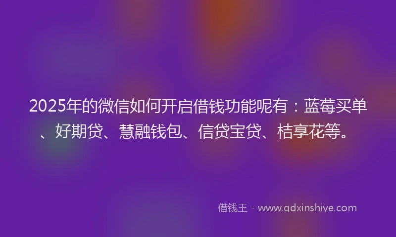 2025年的微信如何开启借钱功能呢有：蓝莓买单、好期贷、慧融钱包、信贷宝贷、桔享花等。