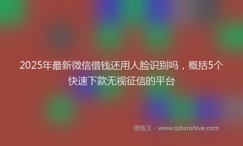 2025年最新微信借钱还用人脸识别吗，概括5个快速下款无视征信的平台