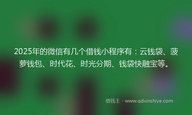 2025年的微信有几个借钱小程序有：云钱袋、菠萝钱包、时代花、时光分期、钱袋快融宝等。