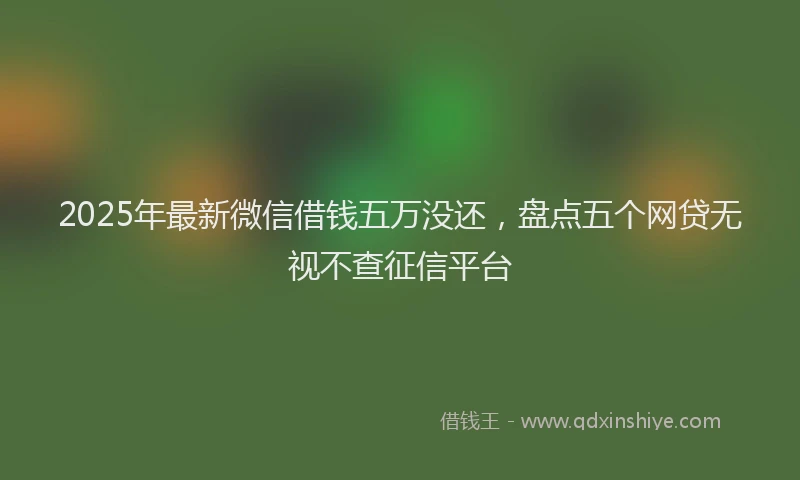 2025年最新微信借钱五万没还，盘点五个网贷无视不查征信平台