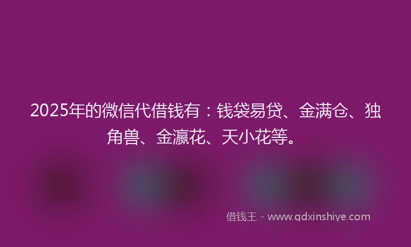2025年的微信代借钱有：钱袋易贷、金满仓、独角兽、金瀛花、天小花等。