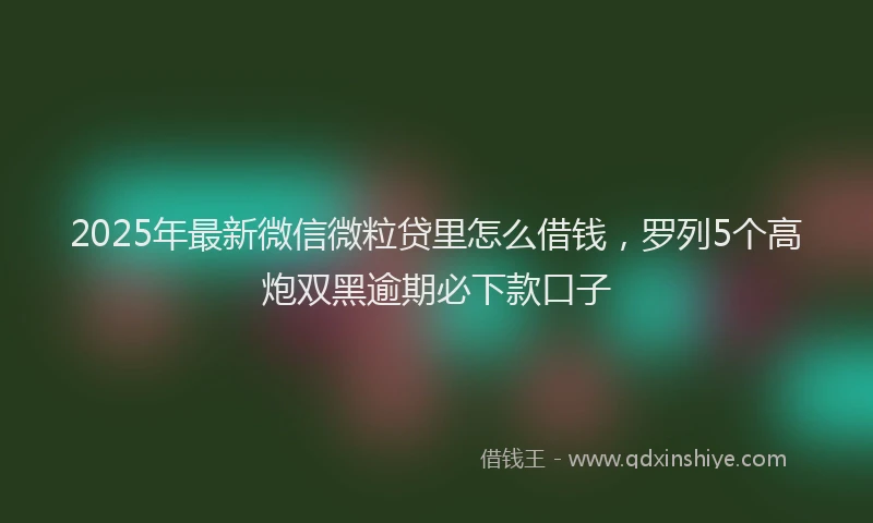 2025年最新微信微粒贷里怎么借钱，罗列5个高炮双黑逾期必下款口子