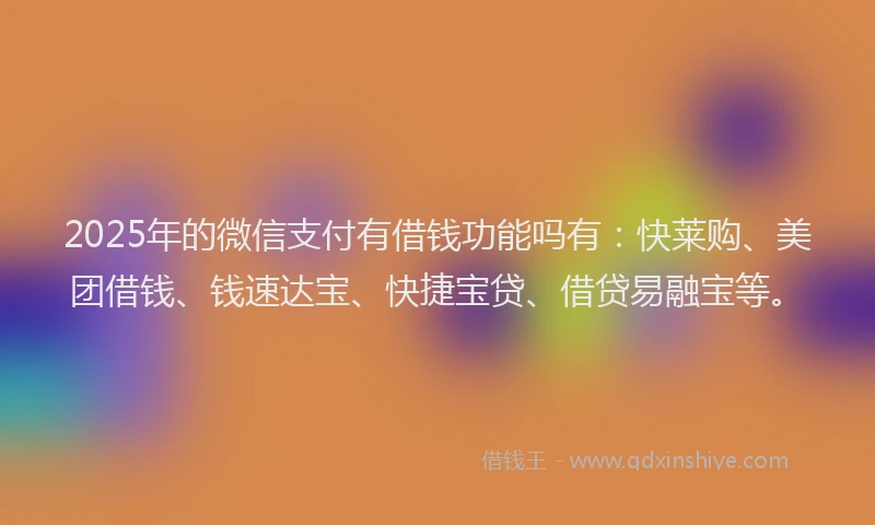 2025年的微信支付有借钱功能吗有：快莱购、美团借钱、钱速达宝、快捷宝贷、借贷易融宝等。