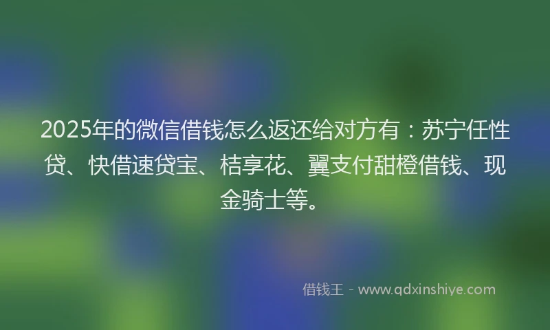 2025年的微信借钱怎么返还给对方有：苏宁任性贷、快借速贷宝、桔享花、翼支付甜橙借钱、现金骑士等。