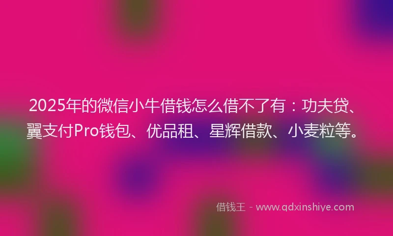 2025年的微信小牛借钱怎么借不了有：功夫贷、翼支付Pro钱包、优品租、星辉借款、小麦粒等。