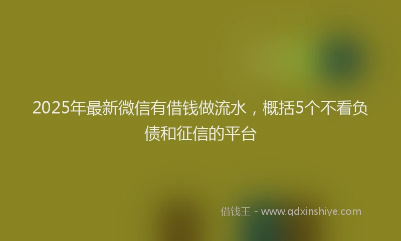 2025年最新微信有借钱做流水，概括5个不看负债和征信的平台
