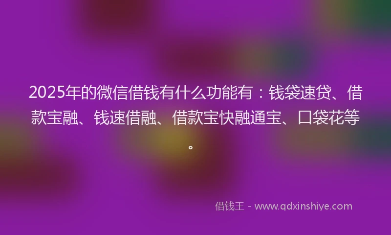 2025年的微信借钱有什么功能有：钱袋速贷、借款宝融、钱速借融、借款宝快融通宝、口袋花等。