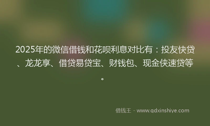 2025年的微信借钱和花呗利息对比有：投友快贷、龙龙享、借贷易贷宝、财钱包、现金侠速贷等。