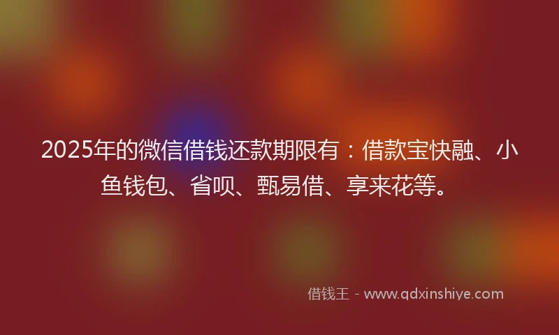 2025年的微信借钱还款期限有：借款宝快融、小鱼钱包、省呗、甄易借、享来花等。