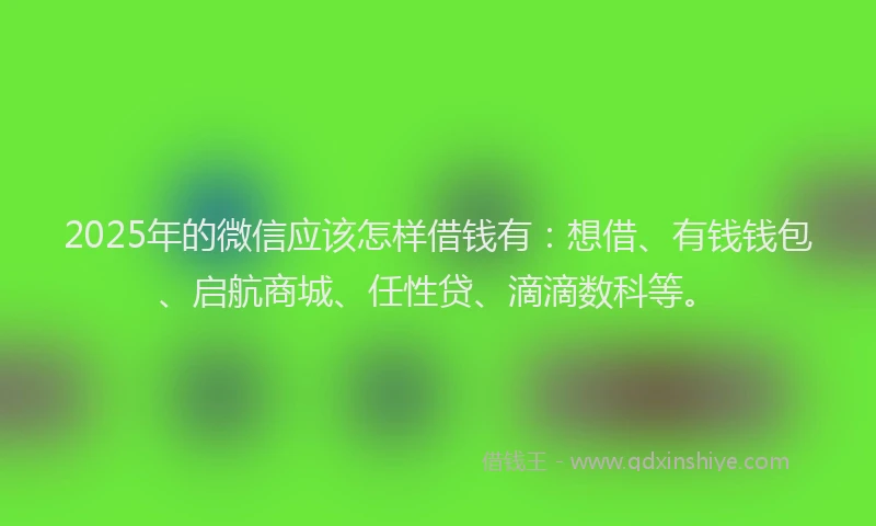 2025年的微信应该怎样借钱有：想借、有钱钱包、启航商城、任性贷、滴滴数科等。