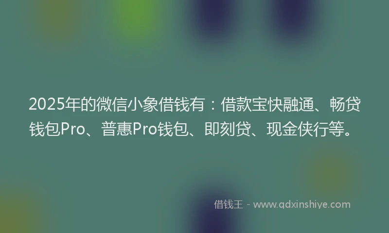 2025年的微信小象借钱有：借款宝快融通、畅贷钱包Pro、普惠Pro钱包、即刻贷、现金侠行等。