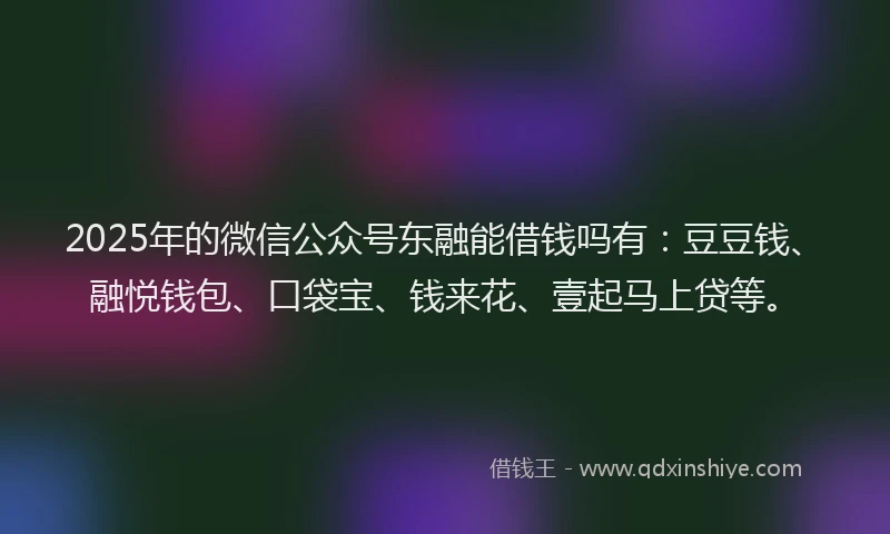 2025年的微信公众号东融能借钱吗有：豆豆钱、融悦钱包、口袋宝、钱来花、壹起马上贷等。