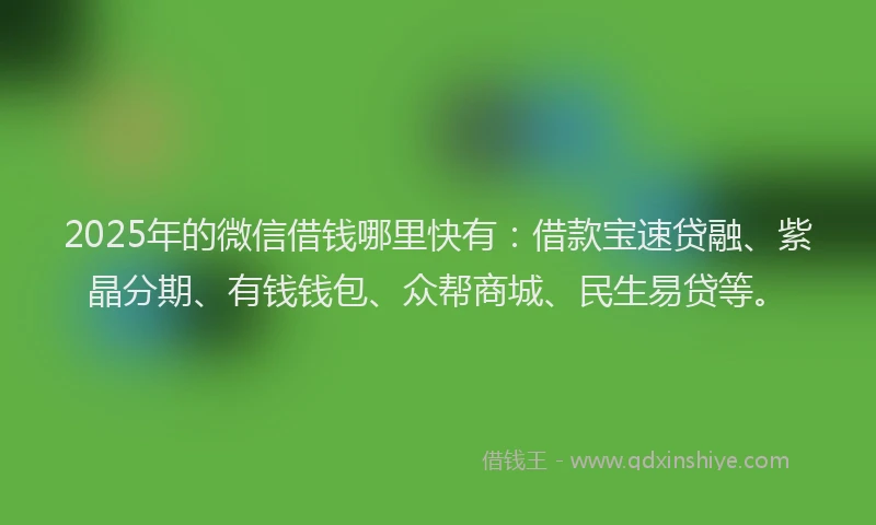 2025年的微信借钱哪里快有：借款宝速贷融、紫晶分期、有钱钱包、众帮商城、民生易贷等。